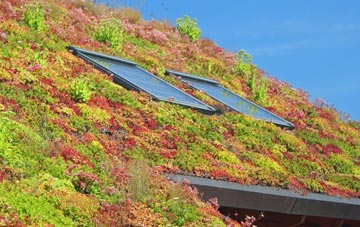 Anvilles living roof systems