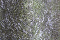 Anvilles fibreglass roof work